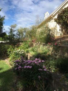 St Matthews Memorial Garden